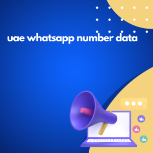 uae whatsapp number data