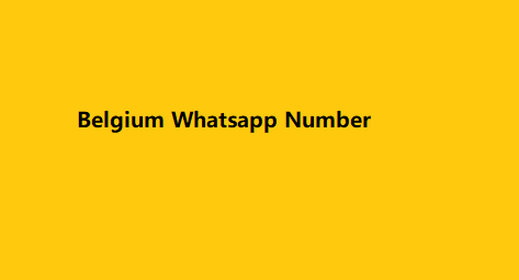 Belgium Whatsapp Number