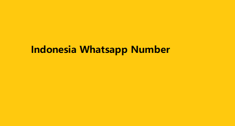 Indonesia Whatsapp Number