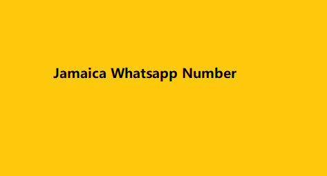 Jamaica Whatsapp Number